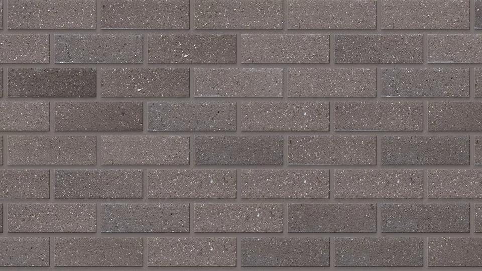 FBX #18